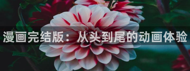 香蕉漫画免费读漫画网下拉式：漫画完结版：从头到尾的动画体验