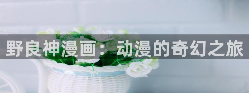 香蕉漫画免费漫画入口页面：野良神漫画：动漫的奇幻之旅