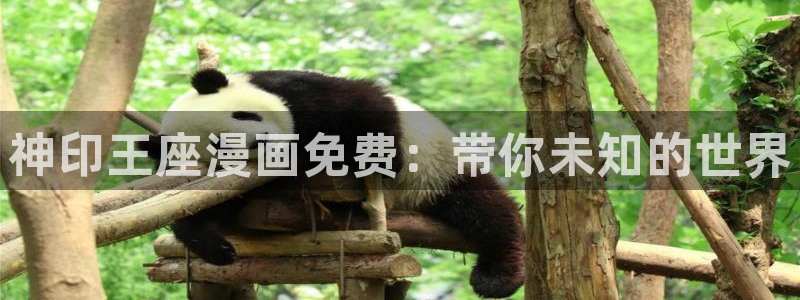 香蕉漫画下载软件：神印王座漫画免费：带你未知的世界